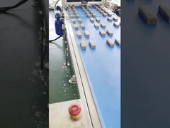 パパの高速多ライン蛋白質の日付棒押出機機械