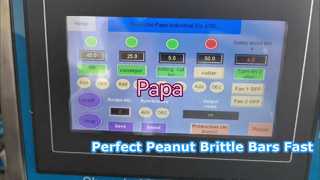 Papa Small P320 ピーナッツ脆性バー成形および切断機のテストビデオ
